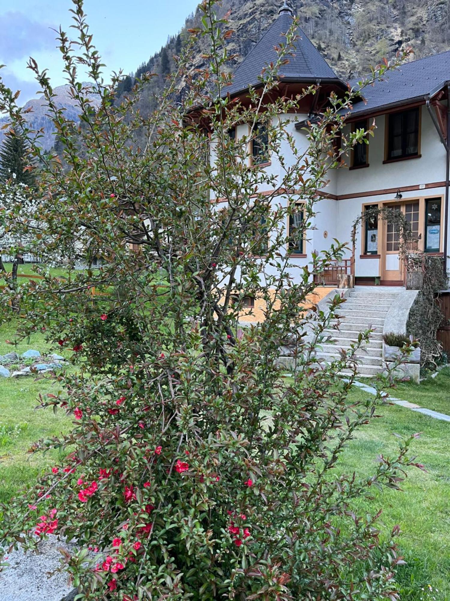 L'Aria Di Casa Bed & Breakfast Alagna Valsesia Exterior photo