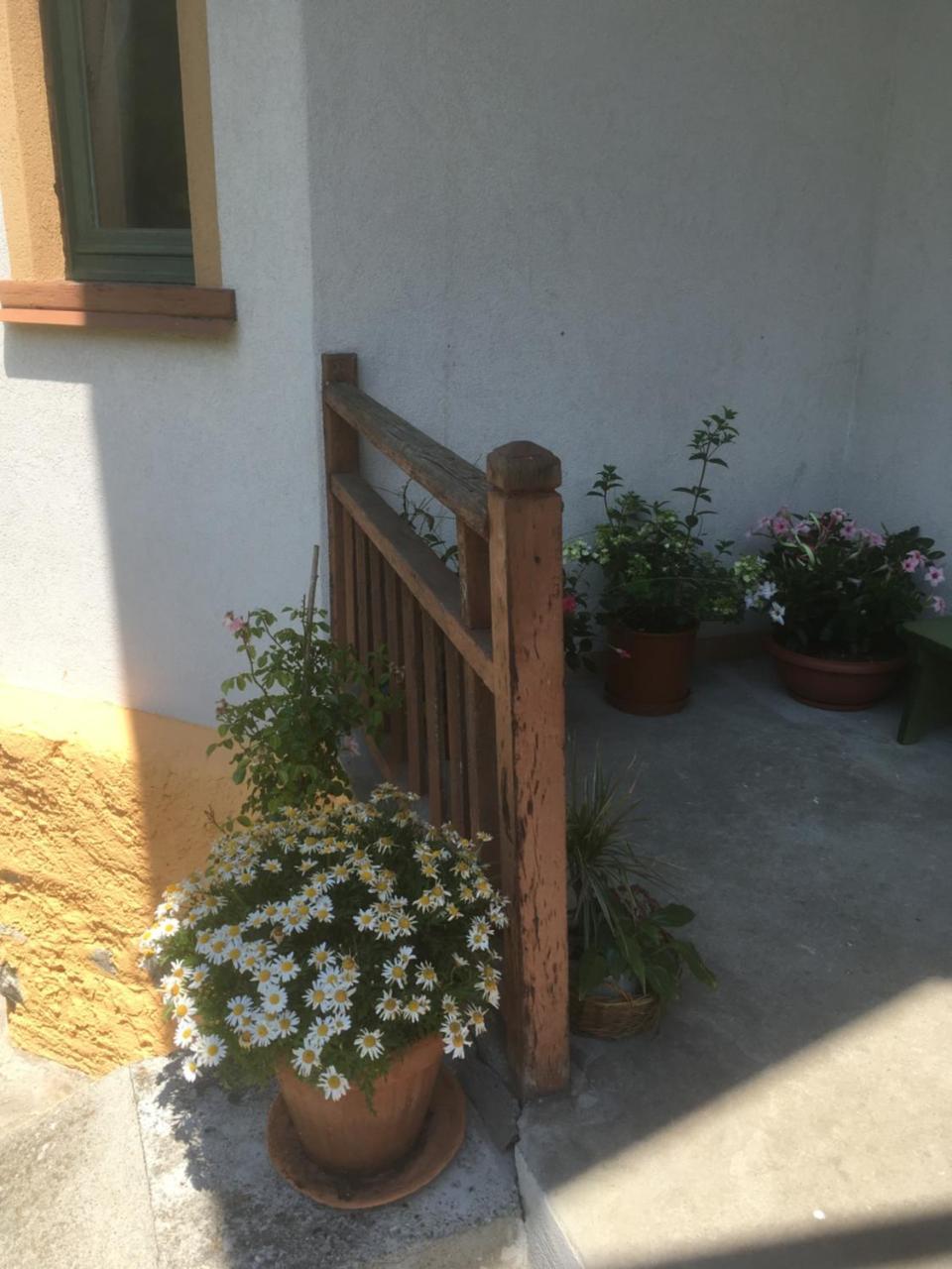 L'Aria Di Casa Bed & Breakfast Alagna Valsesia Exterior photo